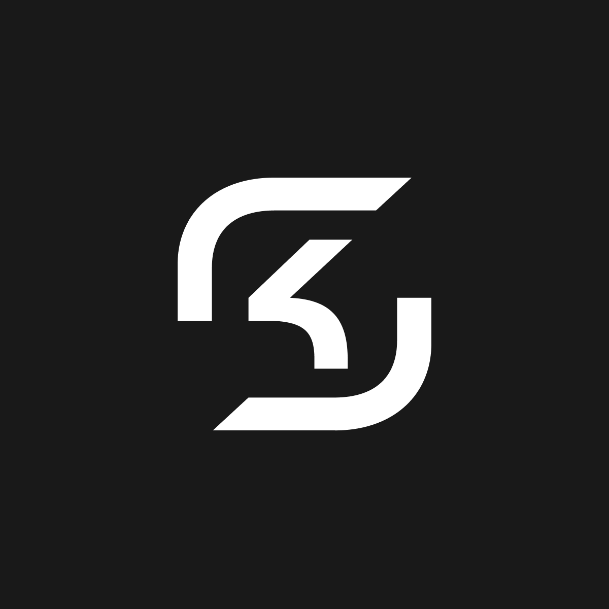 Brand Kit SK Gaming