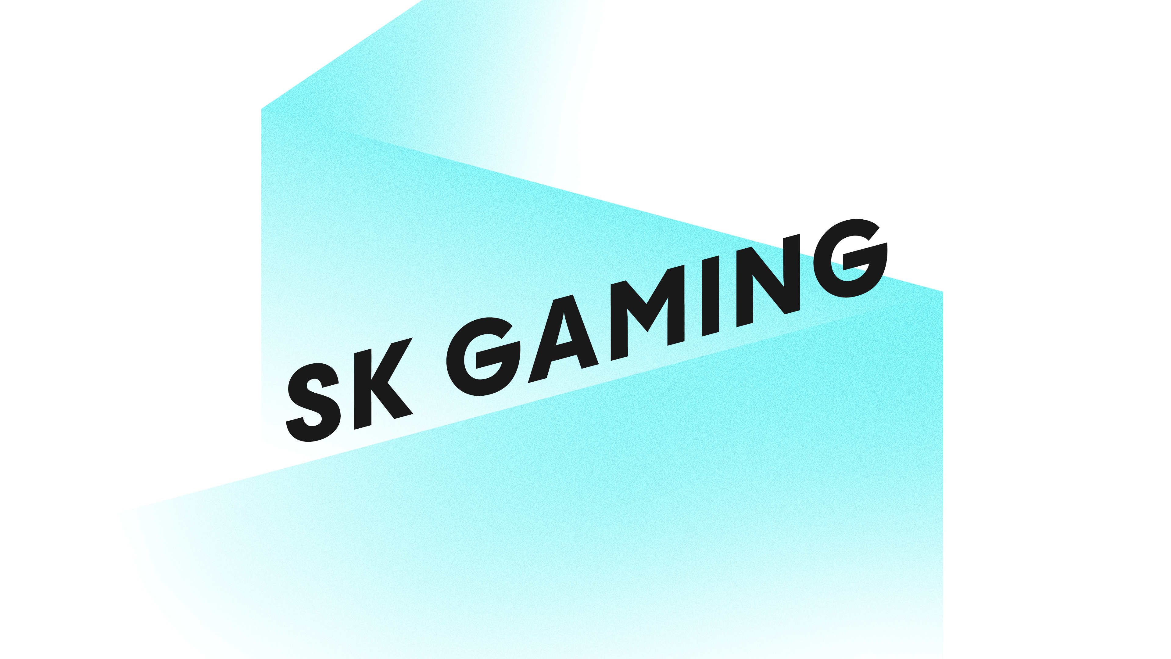 SK Gaming Wallpapers  Top Free SK Gaming Backgrounds  WallpaperAccess